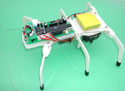 HEXAVOIDER Programmable Robot Kit (solder version)