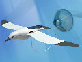 OWI-MSK677 SOLAR FLAPPING SEA GULL KIT (non solder)