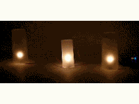 thumb_2779_mk167_animation.gif
