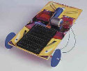 thumb_3108-4m-lowsm.jpg