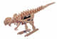  K51601 "DINO" The Mechanical Dinosaur