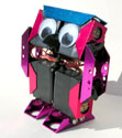 "OWL" Programmable robot kit (non-soldering)