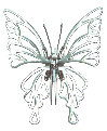 OWI-354 ANGELIC BUTTERFLY