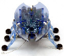 HEXBUG-CHARLIE BLUE