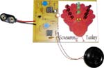 C6784 Screaming Turkey Kit