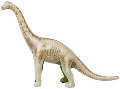 EDU-37357 Skin 'n Bones Brachiosaurus Model